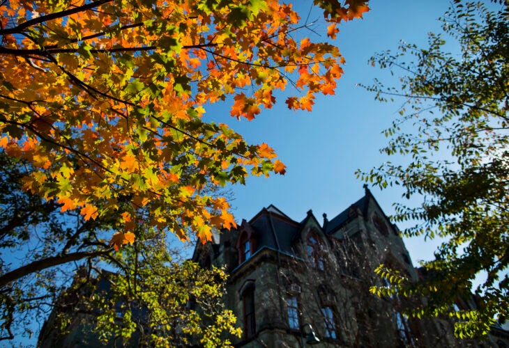 Fall leaves frame a view of College Hall at University of Pennsylvania.