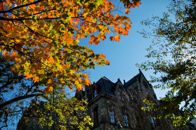 Fall leaves frame a view of College Hall at University of Pennsylvania.