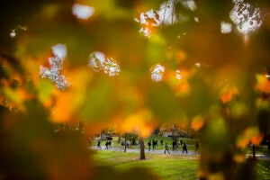 Building Deeper Learning Through Oral Exams: Conversations That Count