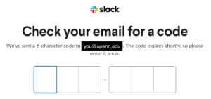 Field to input 6-digit code from email